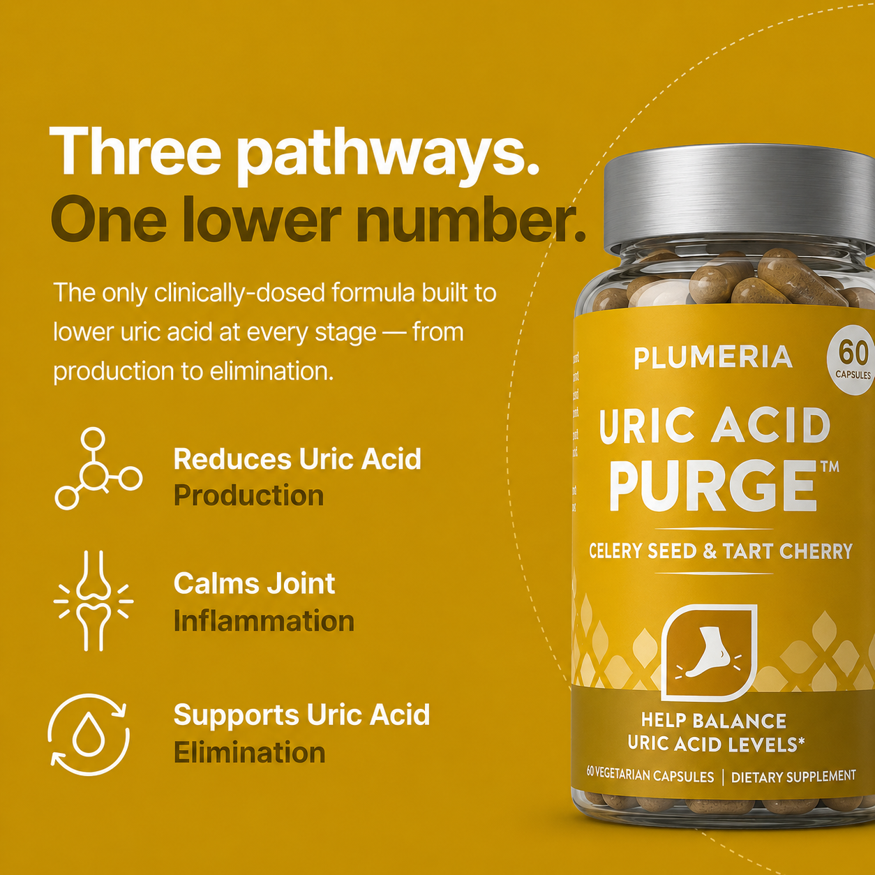 Plumeria Uric Acid Purge